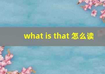 what is that 怎么读